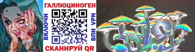 Псилоцибиновые грибы мицелий  Купить закладки  Бологое 